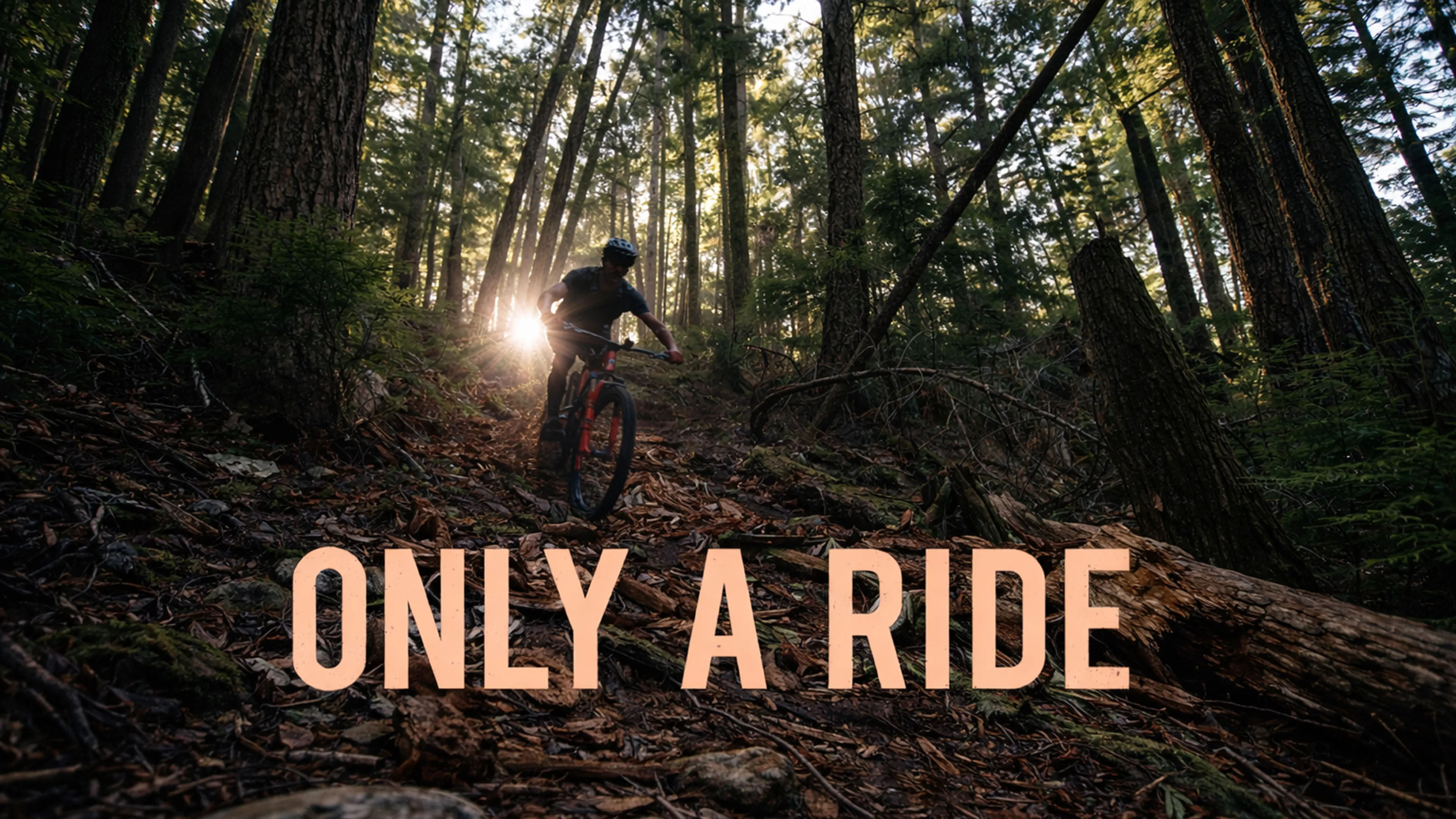 Only a Ride poster